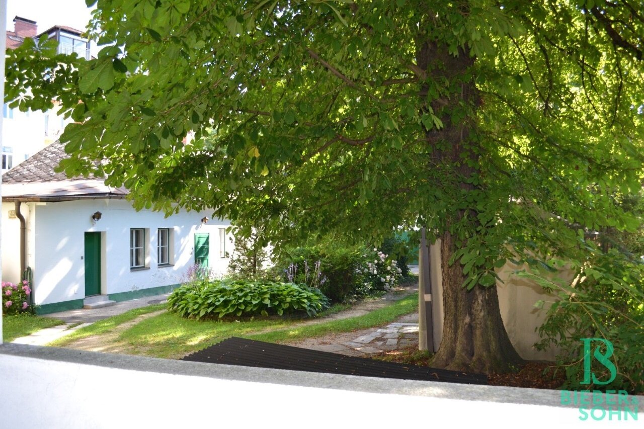 Objekt-Ansicht: Blick Grünanlage Innenhof