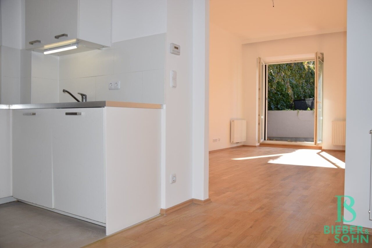 Objekt-Ansicht: Vorraum/Blick Wohnraum