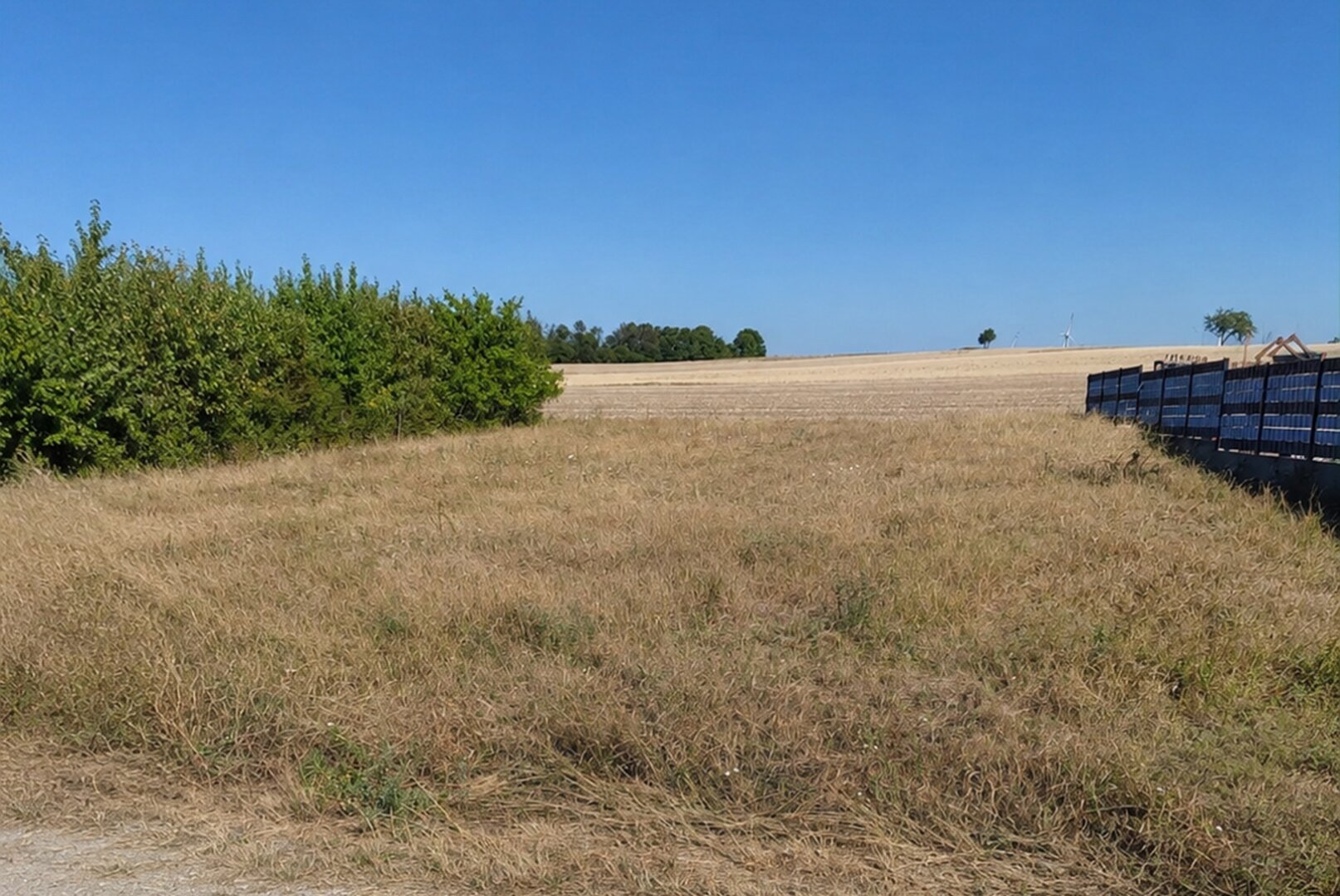 Objekt-Ansicht: Grundstück - Ansicht Strasse