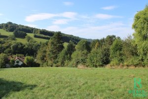 Ausblick (G) Ansicht Ausblick (G) von Objekt-Nummer: 18374