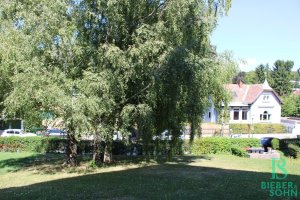 Ansicht Ausblick von Objekt-Nummer: 19474