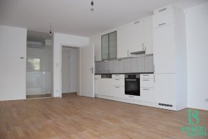 Ansicht Wohnraum/Küche von Objekt-Nummer: 19522