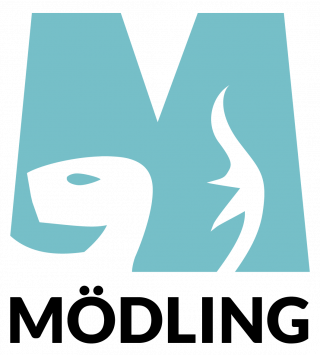 Logo Stadtgemeinde Mödling
